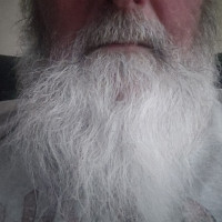 grosbarbubi - homme bisexuel de 51 ans