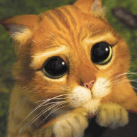 colin09812 - gay de 47 ans