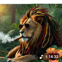 misteredou971 - homme bisexuel de 36 ans