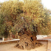 hppourh - homme bisexuel de 57 ans