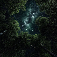 chercheblack13 - homme bisexuel de 23 ans