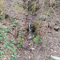 cambrive - homme bisexuel de 61 ans