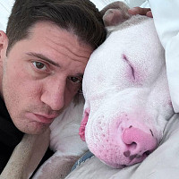 frexd - gay de 29 ans