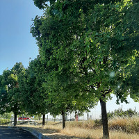 stefbi50 - homme bisexuel de 51 ans