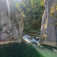 bouloche - homme bisexuel de 59 ans