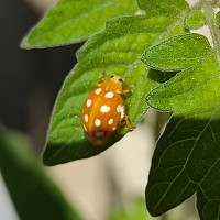 galix - homme bisexuel de 56 ans