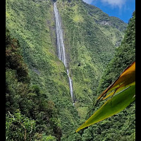 celine-974 - lesbienne de 43 ans