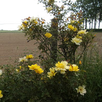 angely80 - gay de 68 ans