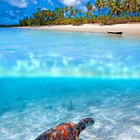 mecooltkl - gay de 52 ans