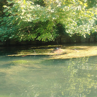 arras-62 - gay de 54 ans