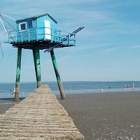 bobod - homme bisexuel de 54 ans