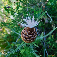 metropassage86 - homme bisexuel de 40 ans