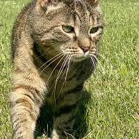 besoin - gay de 60 ans