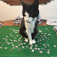 papatiti78 - gay de 51 ans