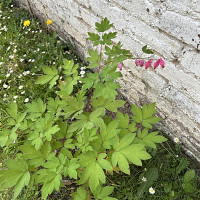 stefstef - homme bisexuel de 37 ans