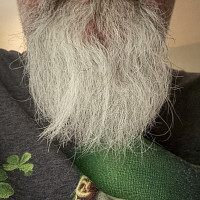 barbusmgros - homme bisexuel de 53 ans