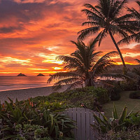 auris55 - homme bisexuel de 55 ans