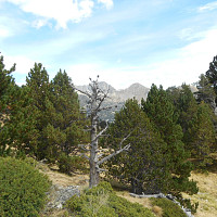 buffalib - gay de 51 ans