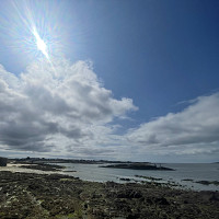 jazz77410 - homme bisexuel de 48 ans