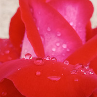 kiyomi - femme bisexuelle de 25 ans