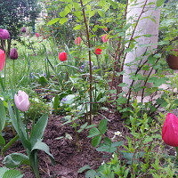 wtophe - gay de 56 ans