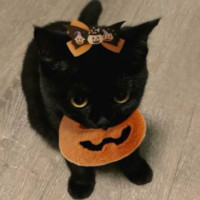 nxbiil - gay de 19 ans