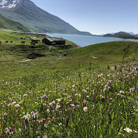 vmac73 - gay de 59 ans