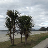 homdesbois - homme bisexuel de 65 ans