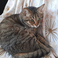 calinou43 - gay de 60 ans