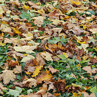 y00oo - homme bisexuel de 21 ans