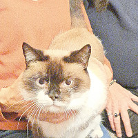 calabre - gay de 59 ans