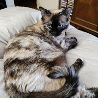 ericclt - gay de 49 ans