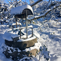 rayann-m - gay de 40 ans