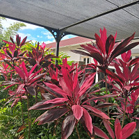 valentin70214859 - homme bisexuel de 23 ans