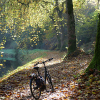 alboretis765 - lesbienne de 60 ans