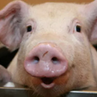 bourse_molle - gay de 30 ans