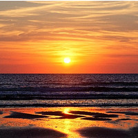 max1836 - homme bisexuel de 33 ans