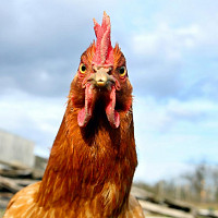 marc1234mar - homme bisexuel de 46 ans