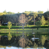 alainrobert - homme bisexuel de 71 ans