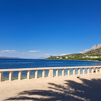 terano - homme bisexuel de 74 ans