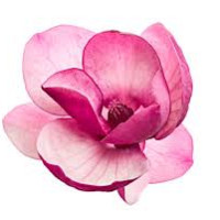 julien1359 - homme bisexuel de 57 ans