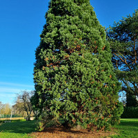 jeanmie - homme bisexuel de 73 ans