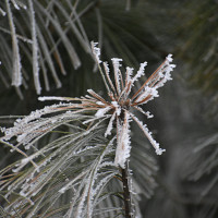 seb71210 - homme bisexuel de 53 ans