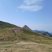 freestyle15 - homme bisexuel de 44 ans