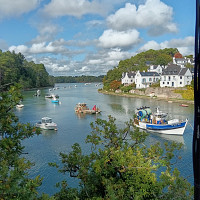 stephan47 - homme bisexuel de 53 ans