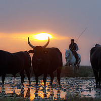 paul1954 - homme bisexuel de 71 ans