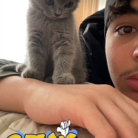 mrn.ajn - gay de 20 ans