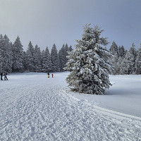 marc74 - homme bisexuel de 43 ans