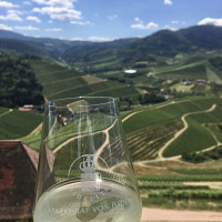 divaddavid67 - gay de 35 ans