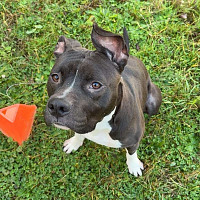 tomi50 - homme bisexuel de 22 ans